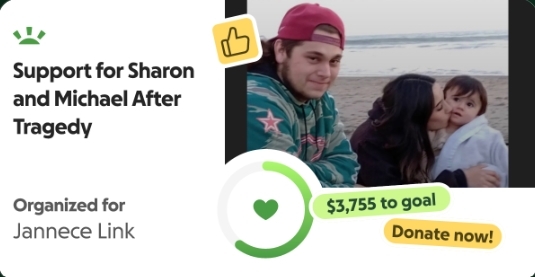 JJ Michael Grimaldo killed crash gofundme