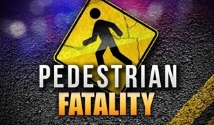 pedestrian hit killed